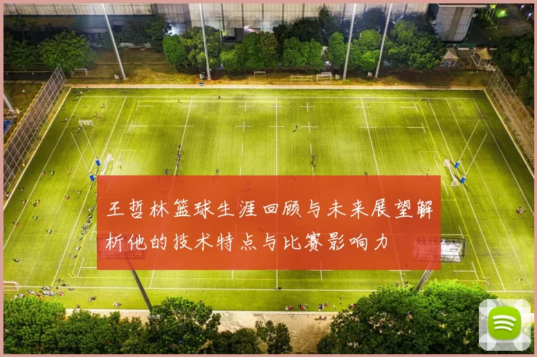 王哲林篮球生涯回顾与未来展望解析他的技术特点与比赛影响力