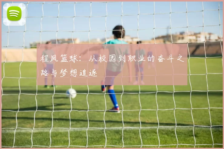 程凤篮球：从校园到职业的奋斗之路与梦想追逐