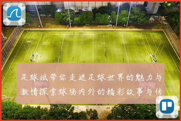 足球斌带你走进足球世界的魅力与激情探索球场内外的精彩故事与传奇人物