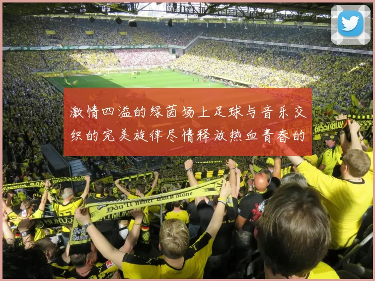 激情四溢的绿茵场上足球与音乐交织的完美旋律尽情释放热血青春的梦想与追逐